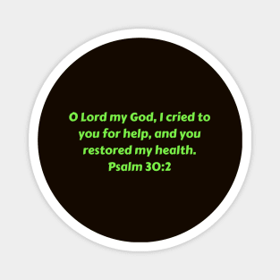 Bible Verse Psalm 30:2 Magnet